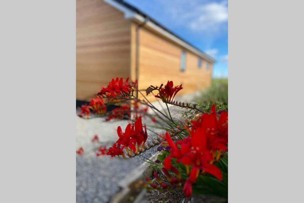 The Gallafield, Self Catering Bungalow , Stornoway Stornoway  Zewnętrze zdjęcie